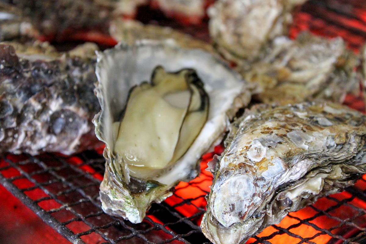 All-You-Can-Eat Oysters Toba Mie Prefecture