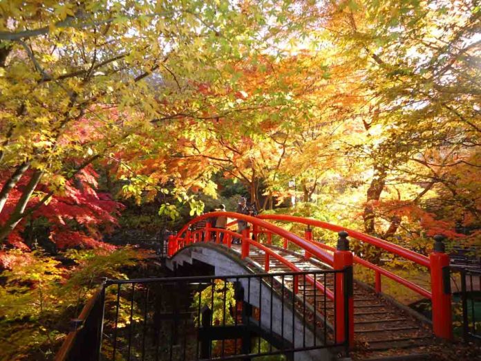 Beyond Tokyo: 5 Places Accessible from Narita Airport You Must Visit ...