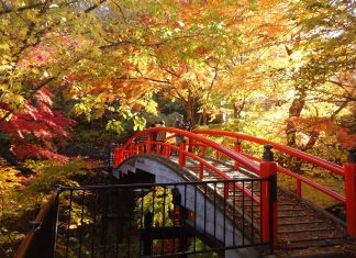 7-Day Japan Itinerary — Hidden Gems in the Kanto and Chubu Region