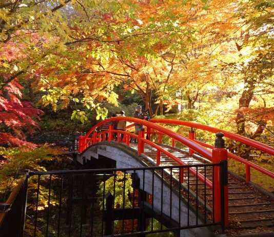 7-Day Japan Itinerary — Hidden Gems in the Kanto and Chubu Region