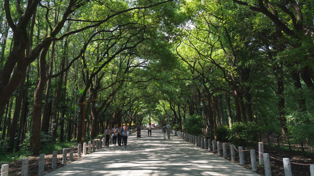 Gongqing National Forest Park (Main Street) - Shanghai Guide
