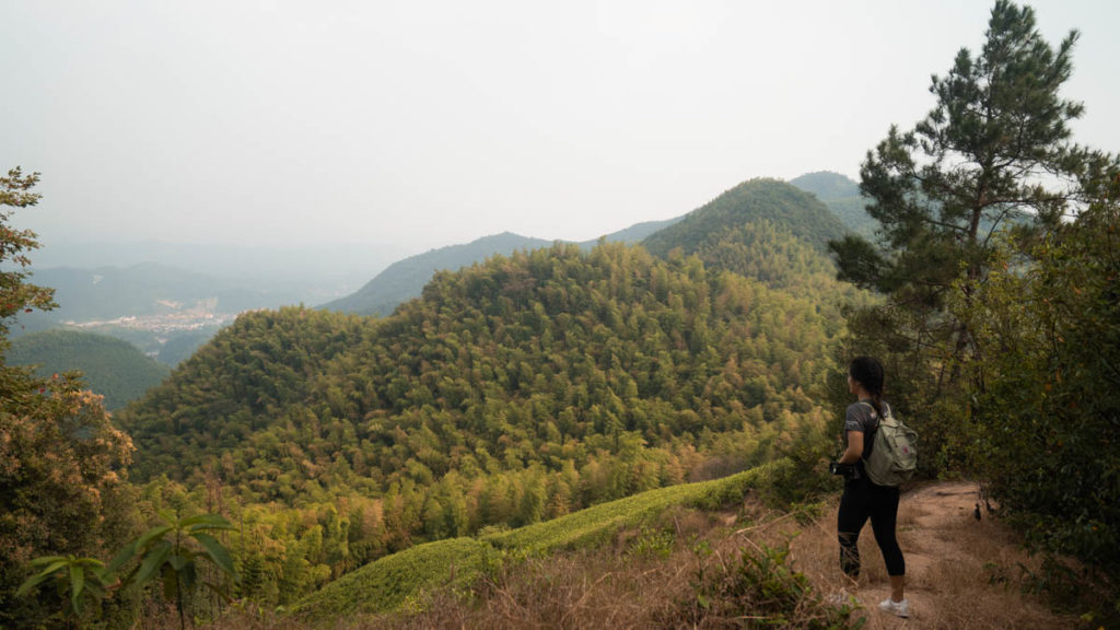 Mount Mogan (View) - Suzhou and Hangzhou Itinerary