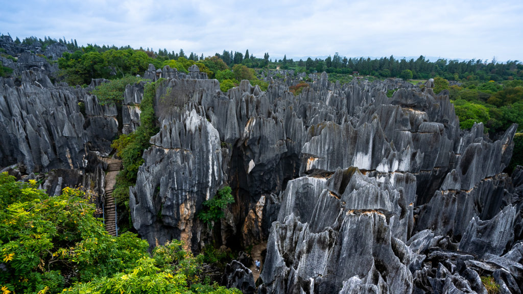 Stone Forest – Yunnan Itinerary 