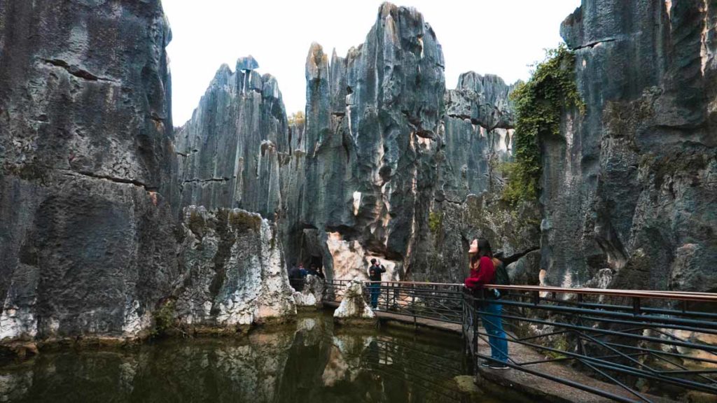 Stone Forest Reflection - Things to do in Yunnan