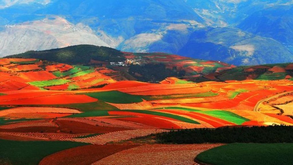 Dongchuan Red Land (250km from Kunming) - Yunnan Nature