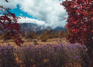 Featured - Yunnan Nature