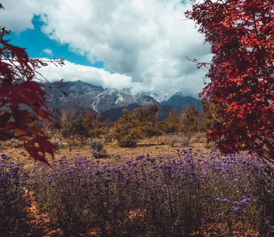 Featured - Yunnan Nature