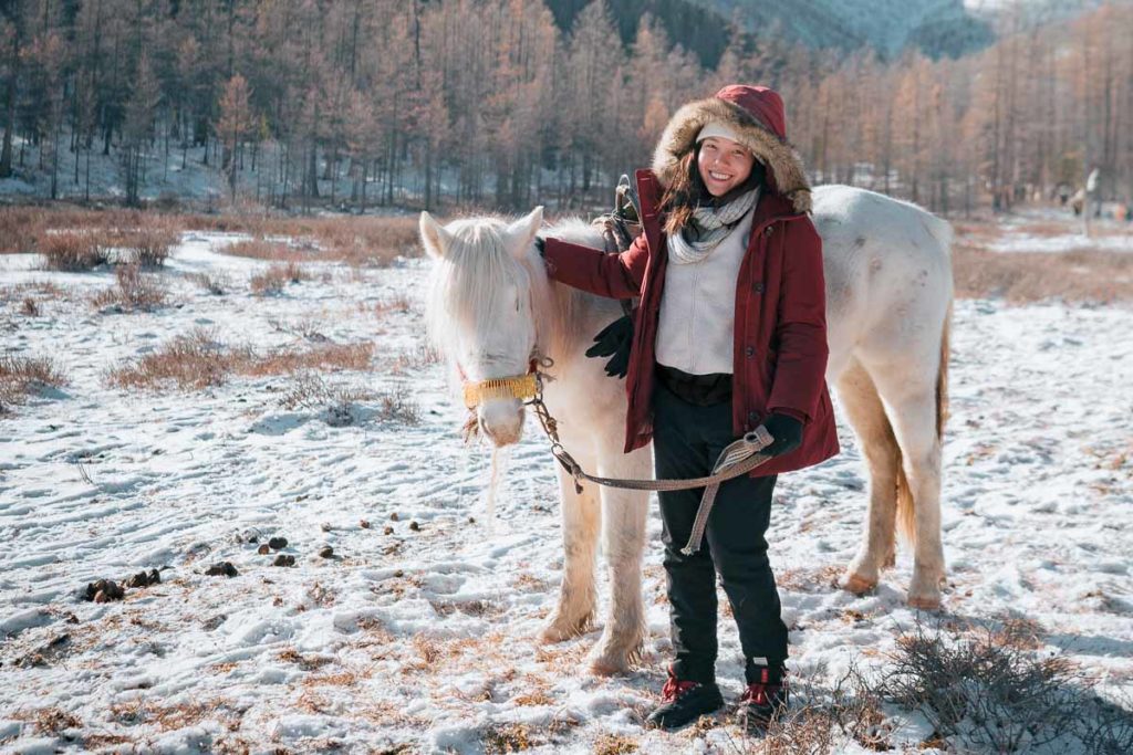 Horse-Travel-To-Mongolia