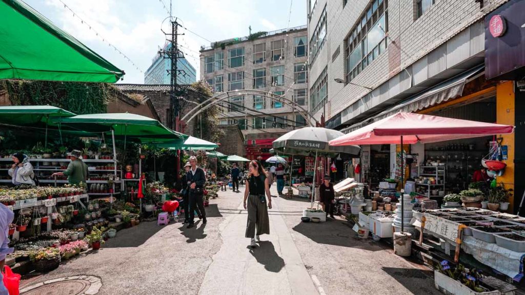 Jingxing flowers and bird market stalls - China Things to do in Kunming city