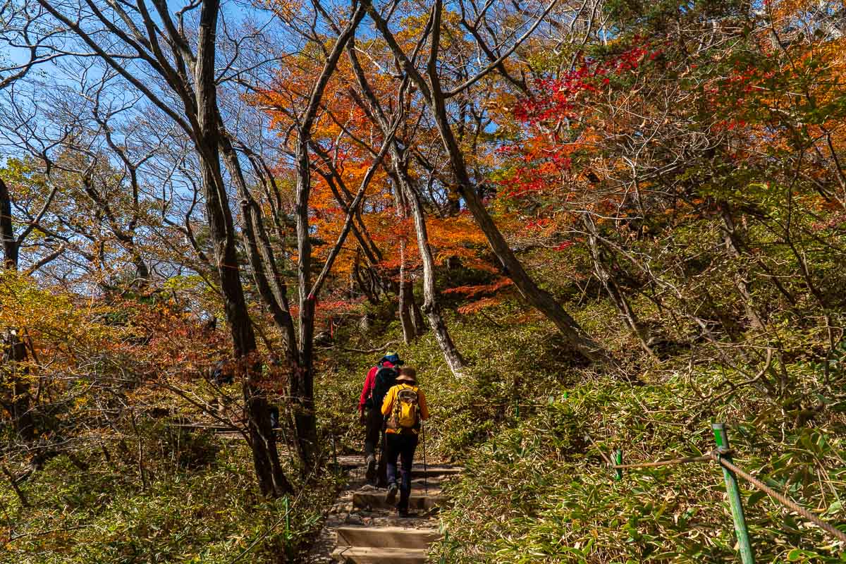 Mt Hallasan Yeongsil Hiking Trail in Autumn - Jeju Itinerary