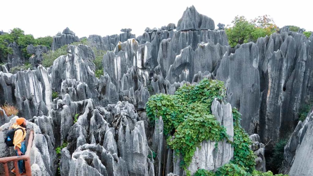 Stone Forest as seen from the top of pagoda China Things to do in Kunming city