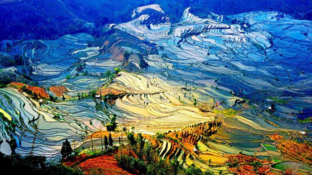 Yuanyang Rice Terraces Ailao Mountain - Yunnan Nature