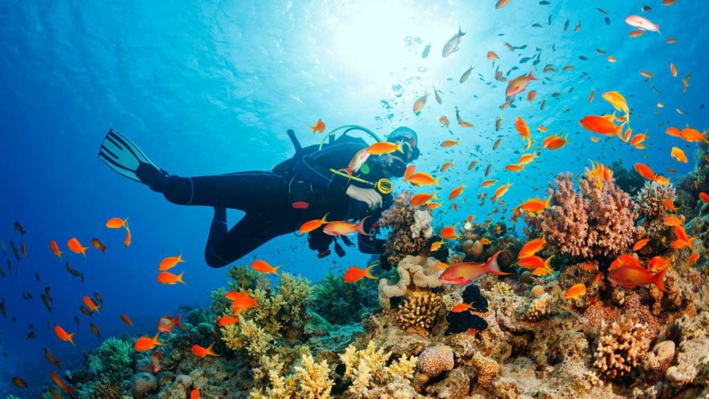 Cebu Philippines Open Water Diving Certification - Weekend Getaways From Singapore