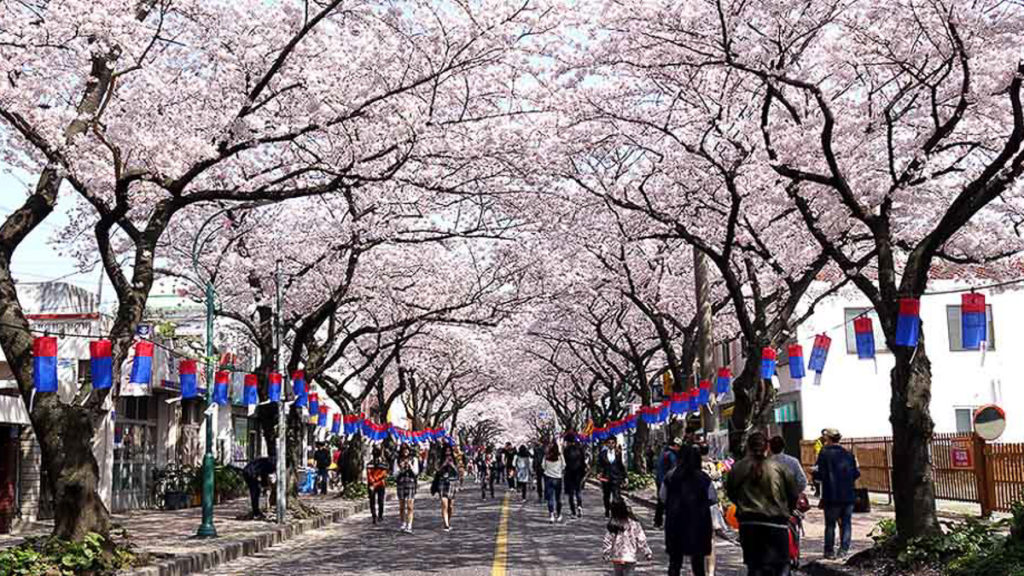 Springtime in Korea