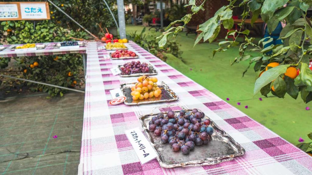 Niigata Shirone Grape Garden Fruit Buffet - Japan Itinerary Niigata and Sado Island