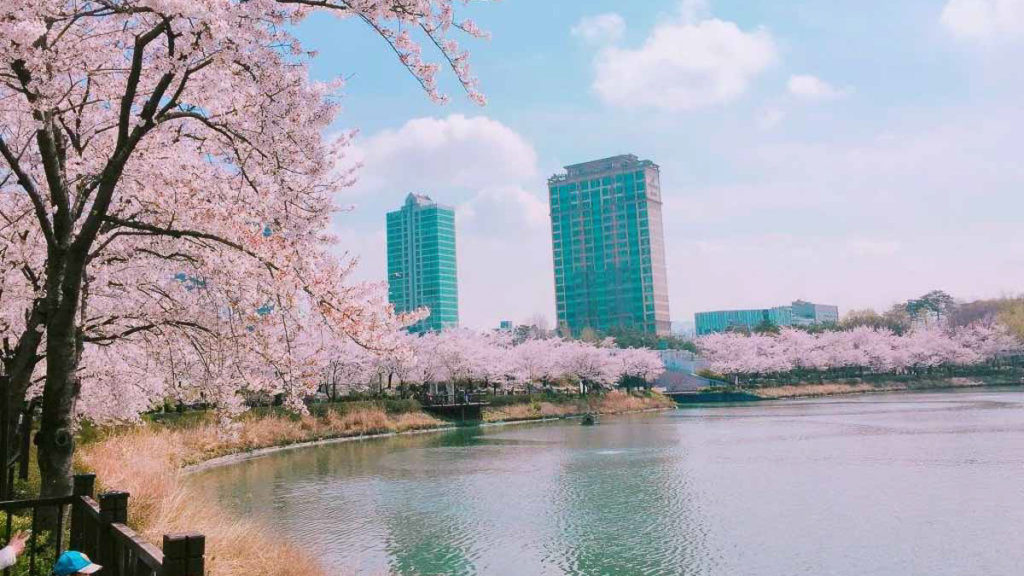 Seoul, South Korea  — Spring Destinations 