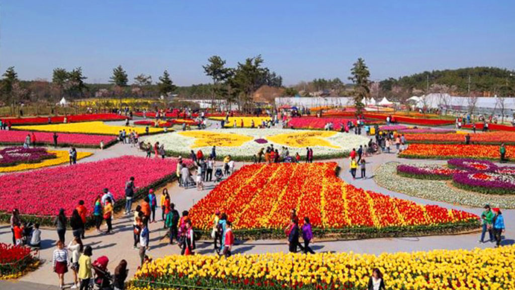 Taean, South Korea - Breathtaking Bucket List Spring Destinations Besides Japan