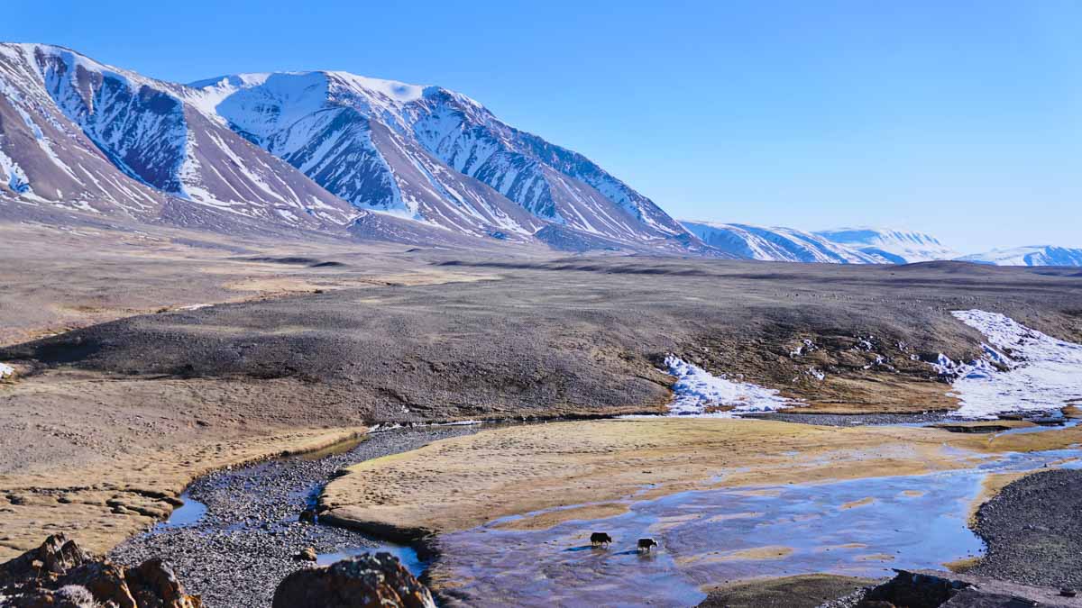Altai Tavan Bogd National Park - West Mongolia Itinerary