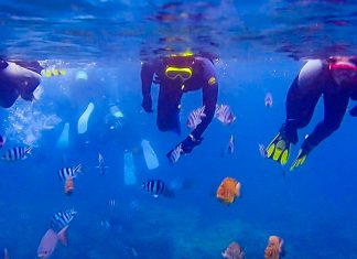 Ultimate Okinawa Guide: 33 Exciting Things to Do in Okinawa — Japan’s Paradise Island Featured New - Things to do Okinawa Guide_
