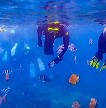Featured New - Things to do Okinawa Guide_