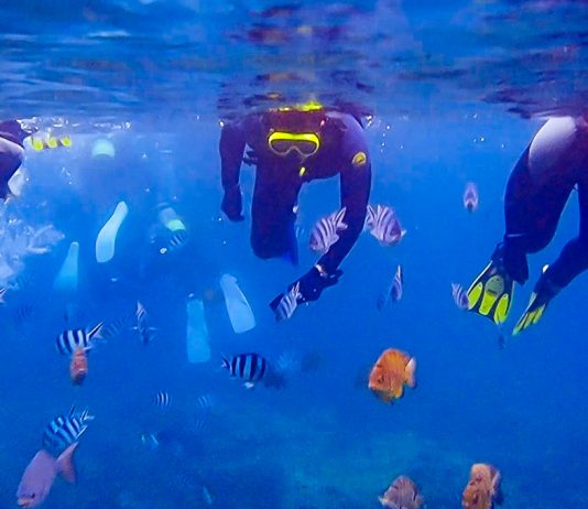 Featured New - Things to do Okinawa Guide_