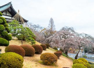 South Tohoku Japan Guide — 19 Things to Do in Miyagi and Fukushima for First Timers Featured - South Tohoku Japan Guide