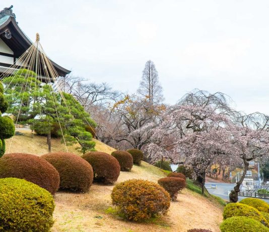 South Tohoku Japan Guide — 19 Things to Do in Miyagi and Fukushima for First Timers Featured - South Tohoku Japan Guide