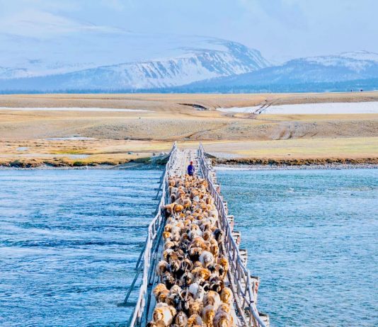 Featured - West Mongolia Itinerary