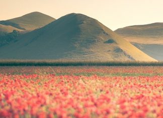 19 Breathtaking Bucket List Spring Destinations Besides Japan — Sunflower, Lavender and Tulip Fields Galore Italy Umbria — Spring Destinations Featured Image