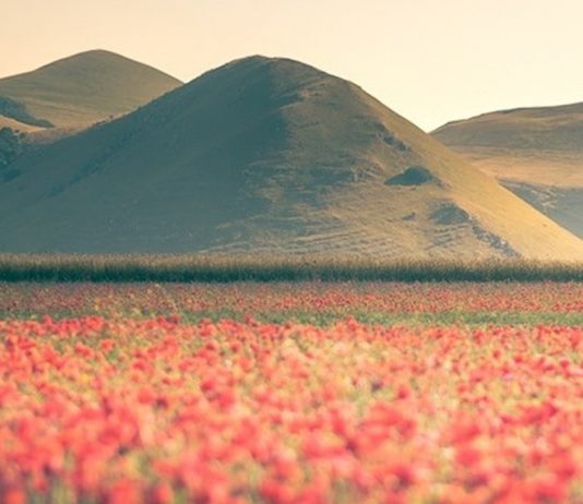 Italy Umbria — Spring Destinations Featured Image