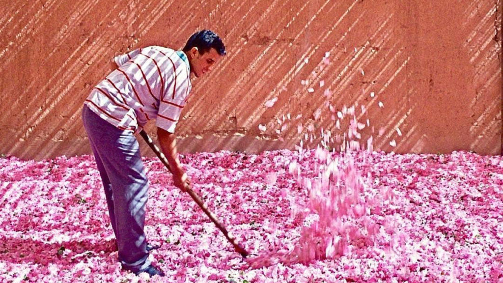 Marrakech, Morocco - Breathtaking Bucket List Spring Destinations Besides Japan