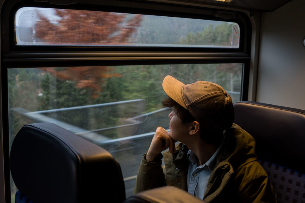 Train journey in Germany