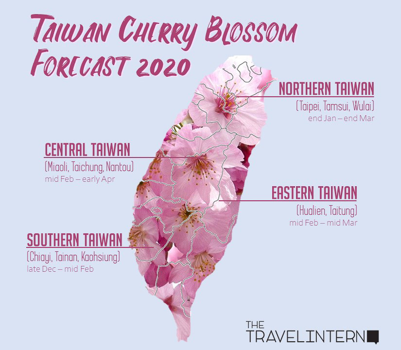 Taiwan Cherry Blossom Guide 2020 A Cheaper And Less Crowded Alternative To Hanami In Japan The Travel Intern