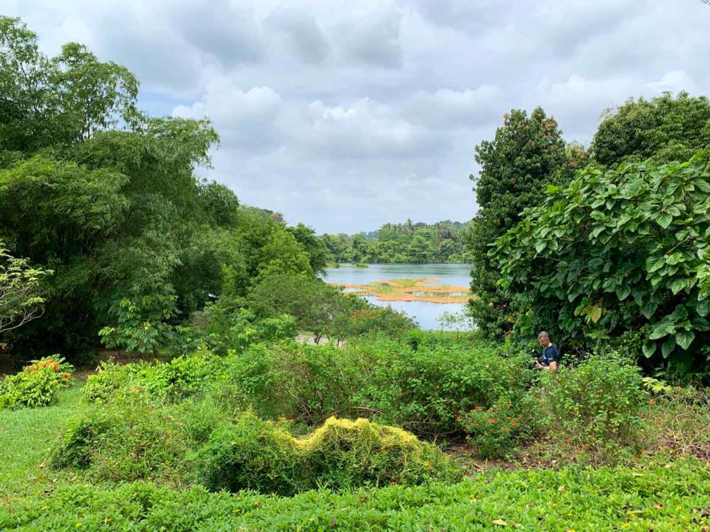 Butterfly Hill - Pulau Ubin Guide