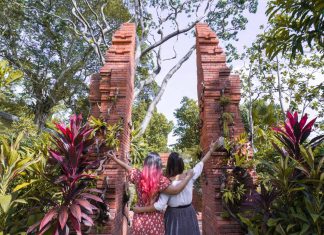 11 Instagram-Worthy Places in Singapore That Are Free Featured - Instagram worthy places in Singapore