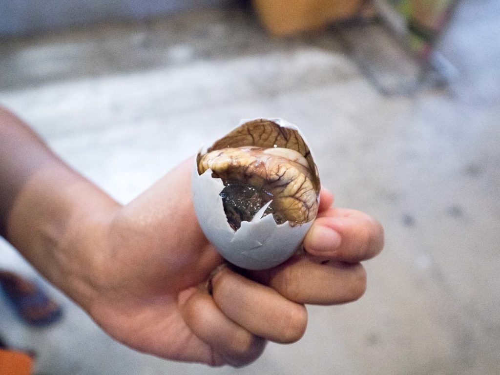 Balut egg - things to eat in Cebu