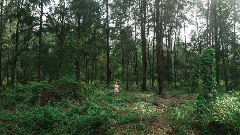 Taking photos at Coney Island - Things to do in Singapore