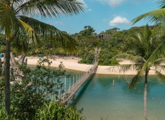 Top 11 Outdoor Activities in Singapore — Places to Hike, Picnic and Get Closer to Nature Featured - Outdoor activities in Singapore