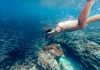 Woman swimming with sardine run - What to do in Cebu, Philippines