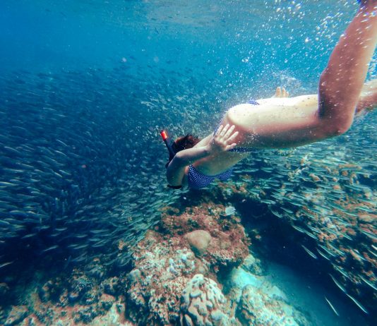 Woman swimming with sardine run - What to do in Cebu, Philippines