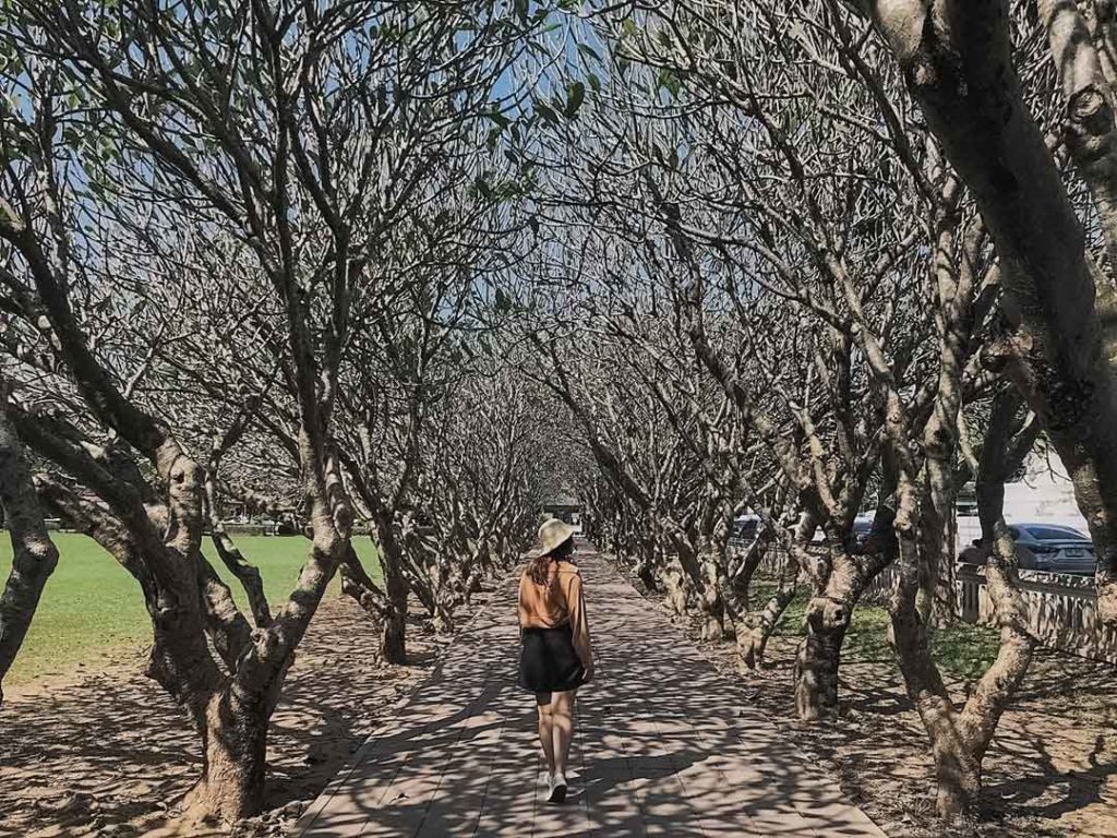 Frangipani Tunnel Nan National Museum - Instagrammable Places in Thailand