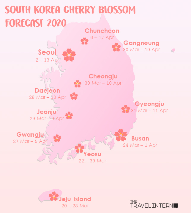 Korea Cherry Blossom Forecast 2020 map - Korea Cherry blossom Guide 2020