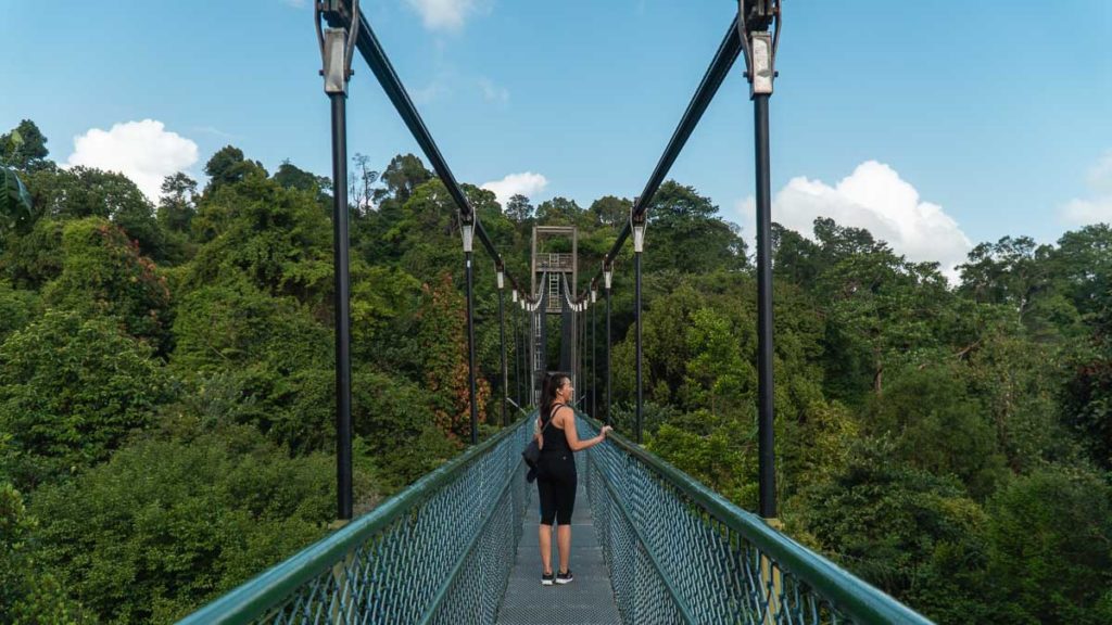 MacRitchie TreeTop Walk - Places in Singapore