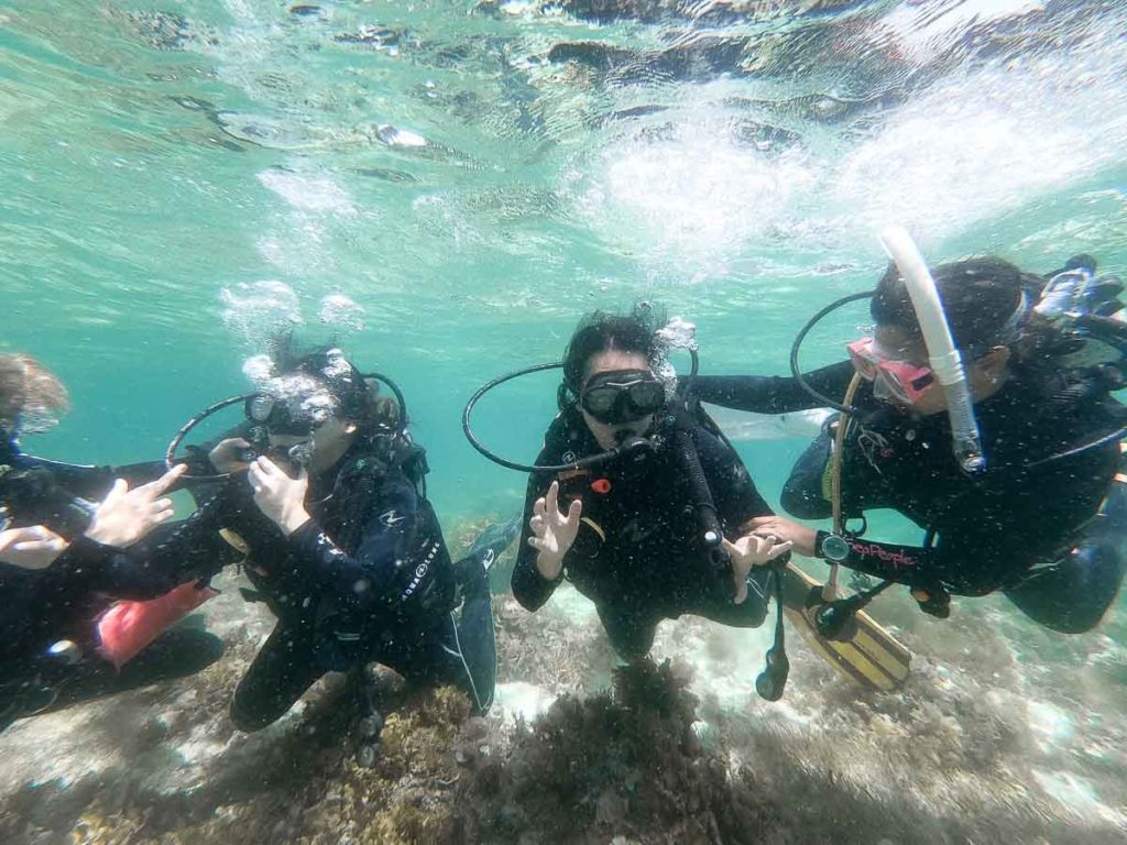 Scuba Diving - Cebu Itinerary