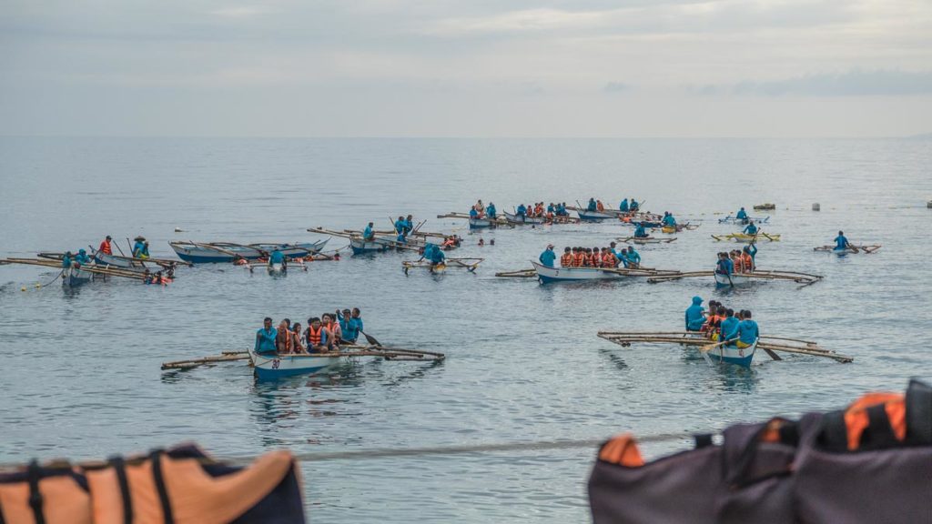 Whale Shark Watching - whale sharks in Oslob