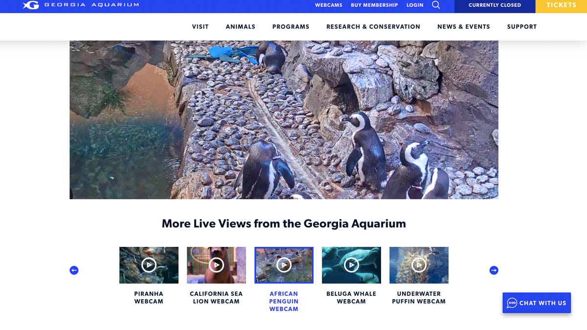 Georgia Aquarium USA - Places Around The World
