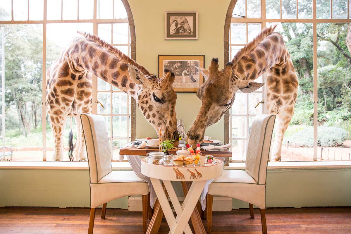 Giraffe Manor - Experience