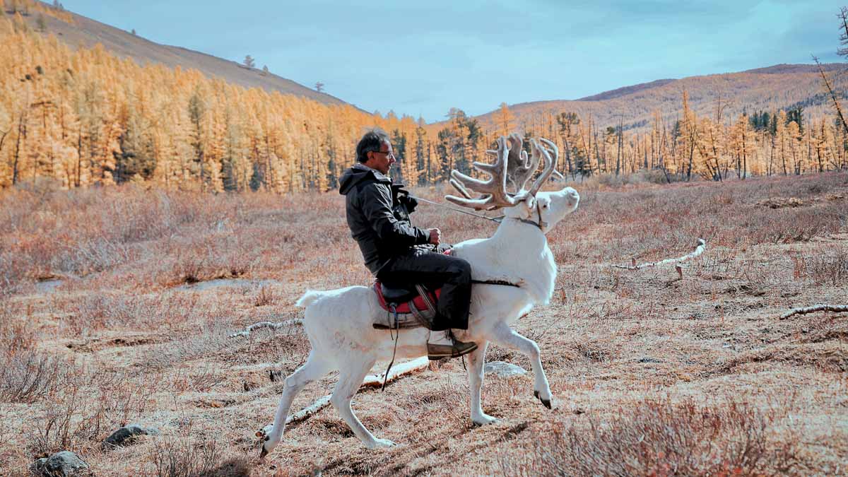 Mongolia Reindeer Herd - Travel Bucket List