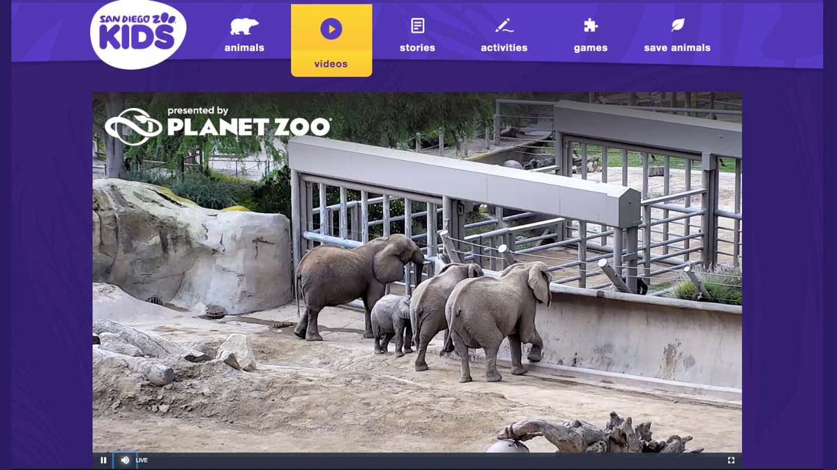 San Diego Zoo USA - Virtual Tours