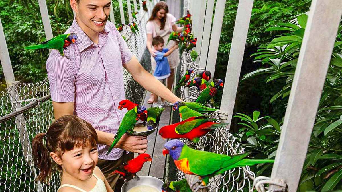 Jurong Bird Park - Reasons to visit Singapore